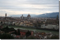 Florence from above (2)